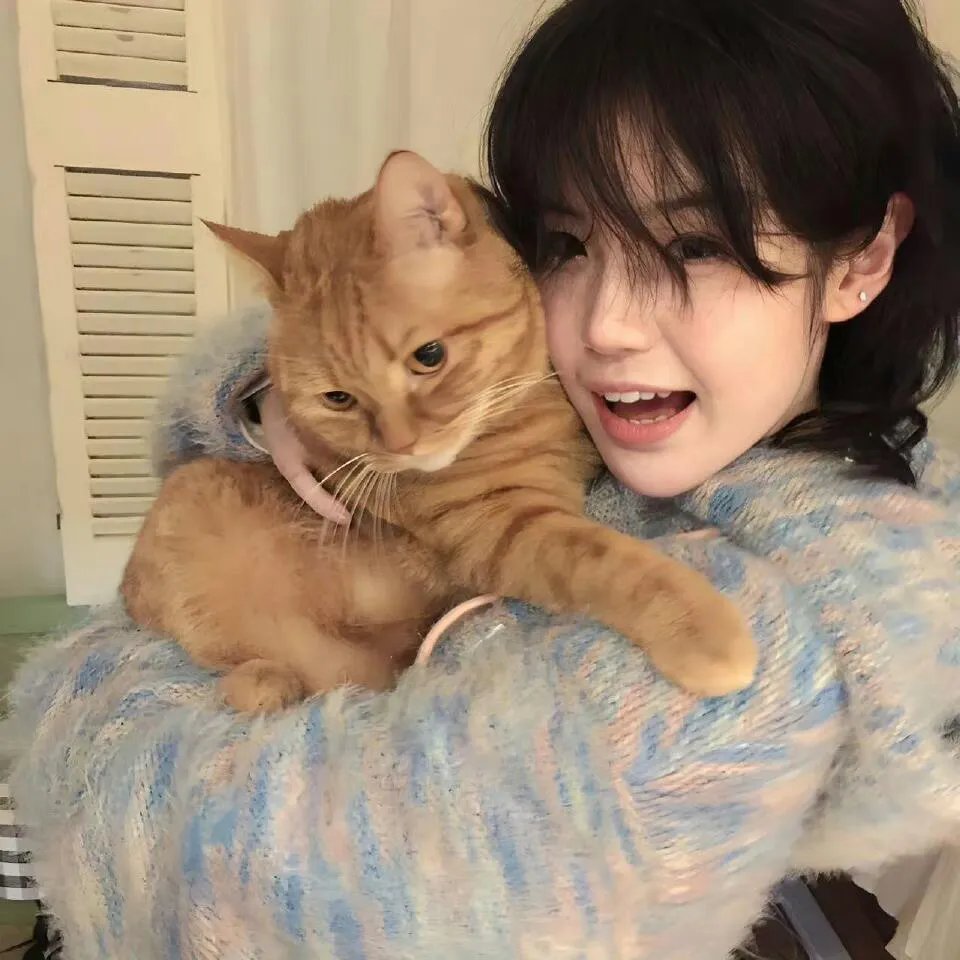 新福星小子第二季